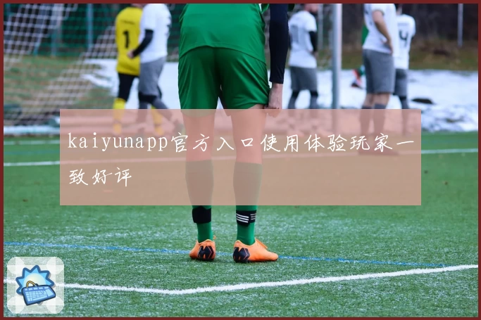 kaiyunapp官方入口使用体验玩家一致好评