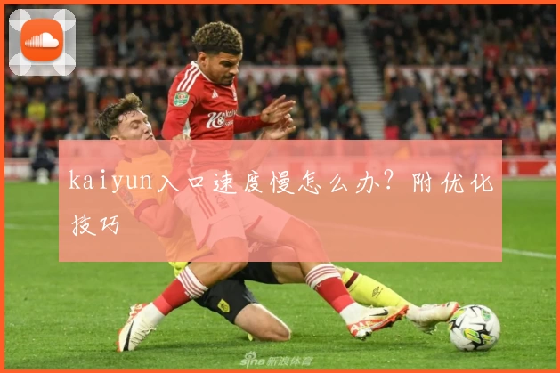 kaiyun入口速度慢怎么办？附优化技巧