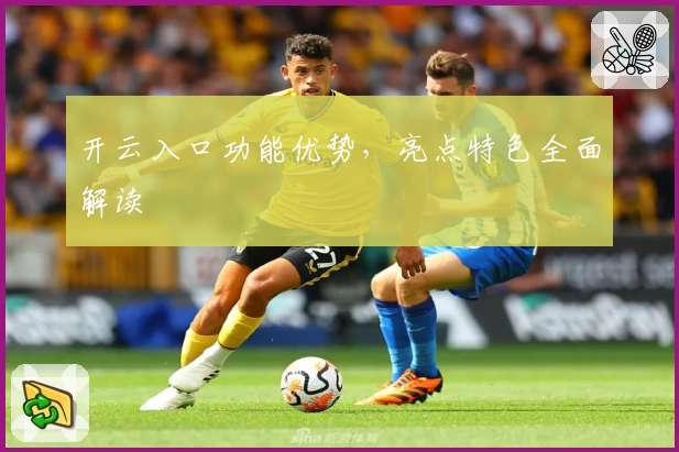 开云入口功能优势，亮点特色全面解读