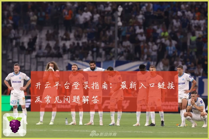开云平台登录指南：最新入口链接及常见问题解答